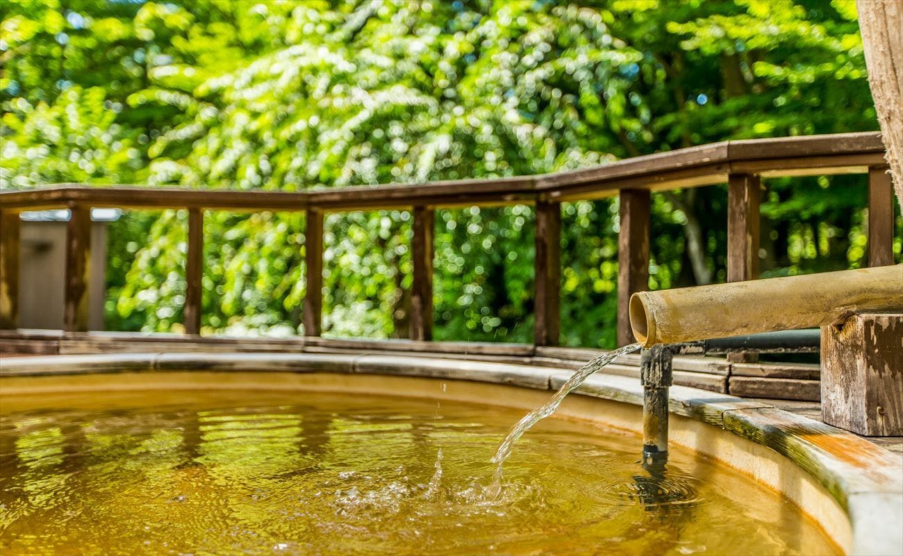 南網張ありね温泉 ゆこたんの森 - 宿泊予約 - 一休.com