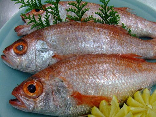 近畿 大阪以外 の宿で のどぐろ をご紹介 最上のひとときをどうぞ 一休 Com