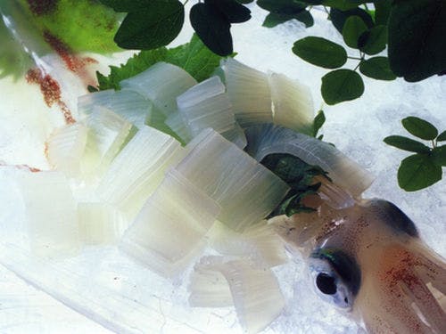 かに楽座 甲羅戯 夏旬の食旅 2大特典 朝とれ白イカ と 夏の香住かに 人気プラン 緑に安らぐ 陶器温泉風呂付 かにえびたい 一休 Com