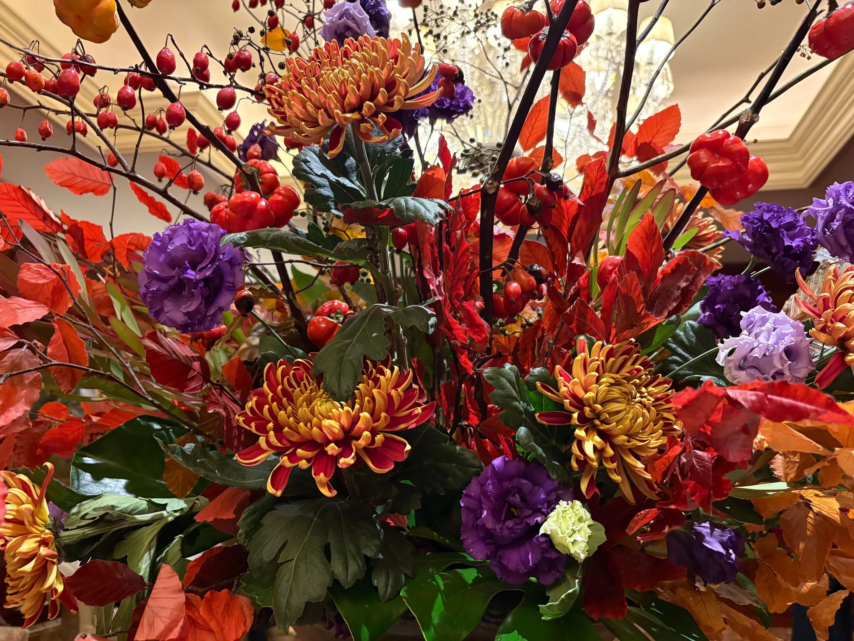 館内のお花はすっかり秋です。