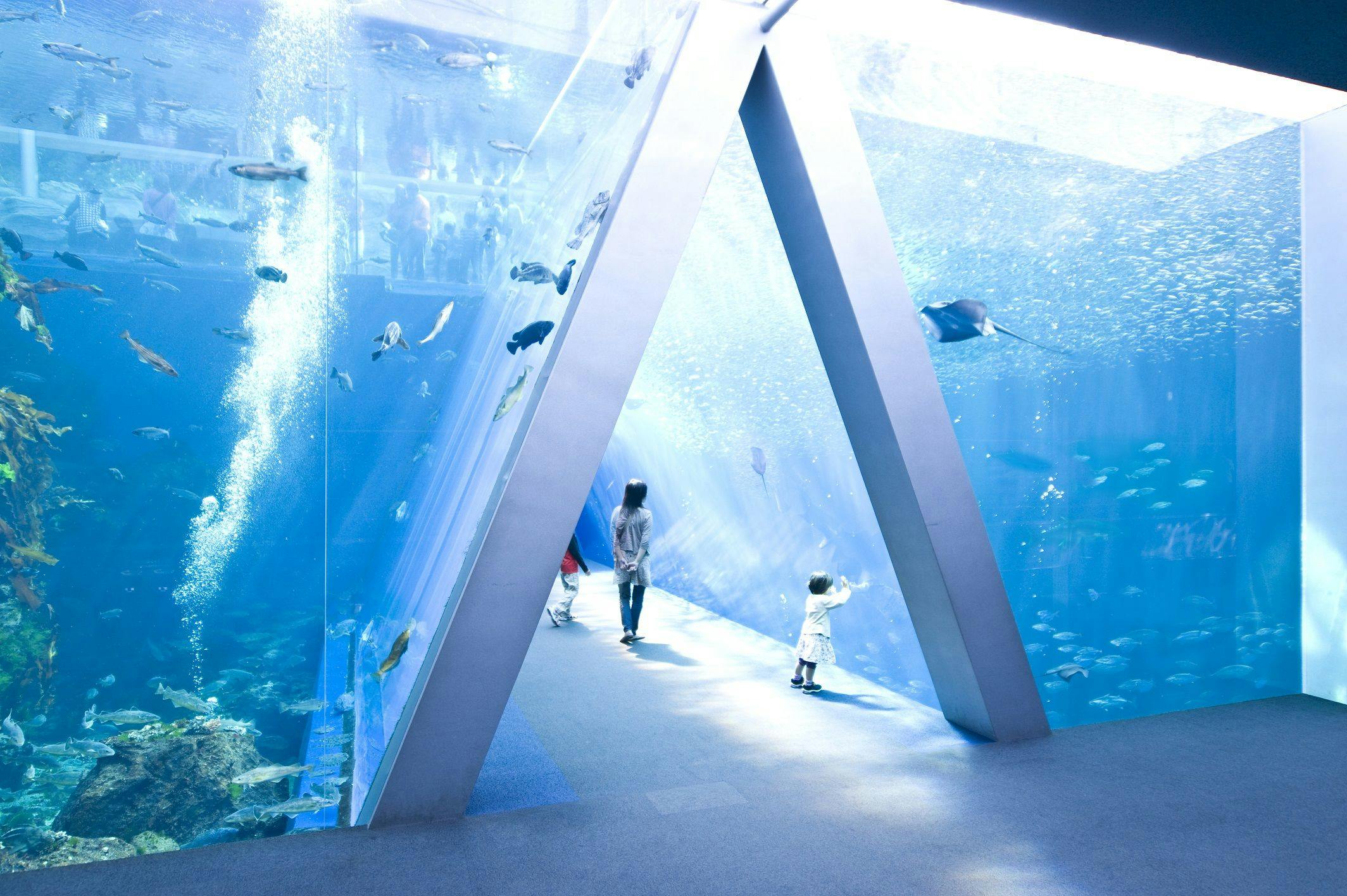 海洋水族馆福岛（图片）