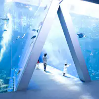 Aqua Marine Fukushima (Image)