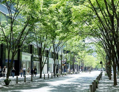 丸の内仲通り