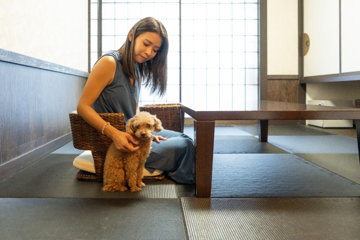 愛犬と泊まれる海と夕陽の楽園　頬杖の刻