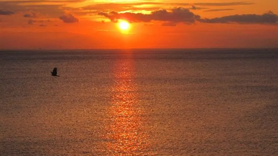 BEAUTY & SPA RESORT IZU Hohoemi no Toki