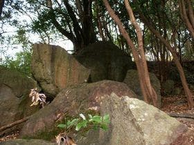 風月無辺 2枚目