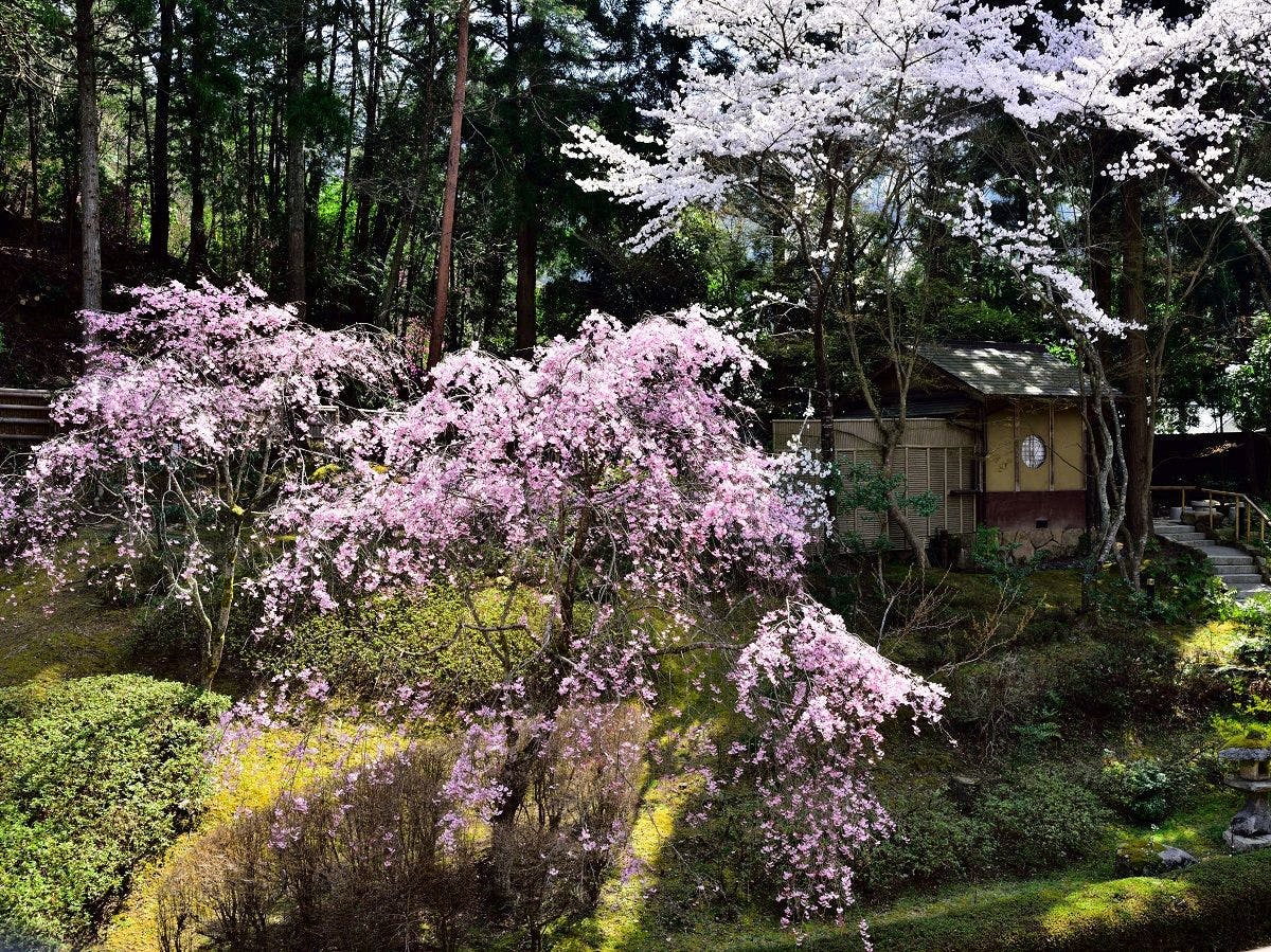 京　YUNOHANA RESORT　翠泉