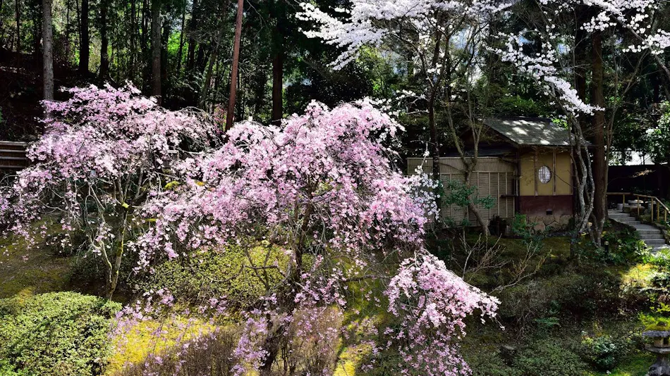 Kyo Yunohana Resort Suisen