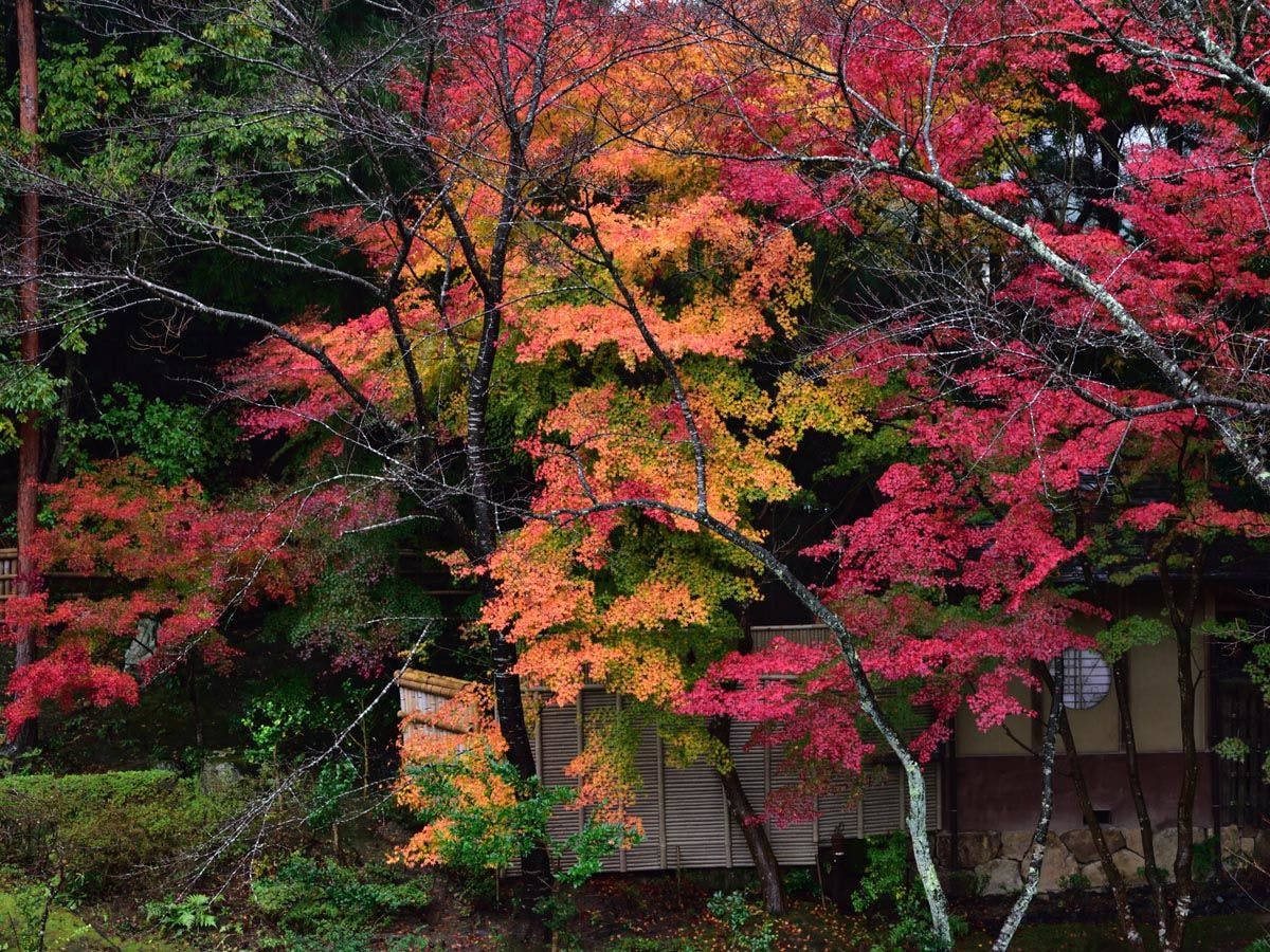 京　YUNOHANA RESORT　翠泉