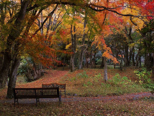 由布院 梅園 GARDEN RESORT