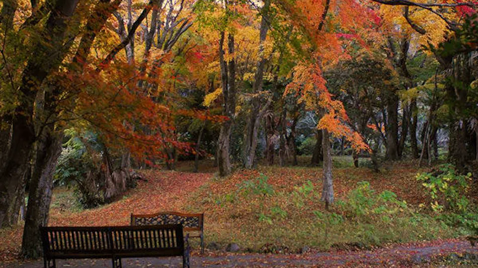 Yufuin Baien Garden Resort