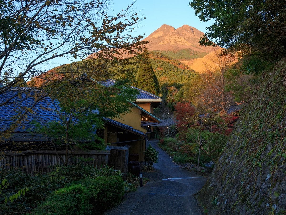 บริเวณโดยรอบ｜ภูเขายุฟุอยู่ตรงหน้าคุณ!