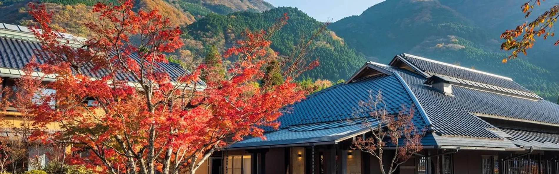 由布院 梅園 GARDEN RESORT