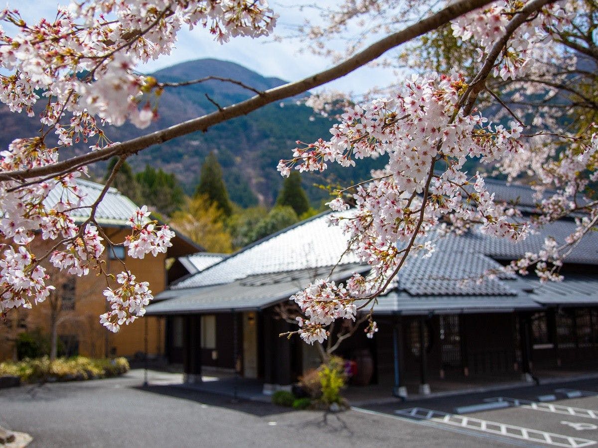 由布院 梅園 GARDEN RESORT