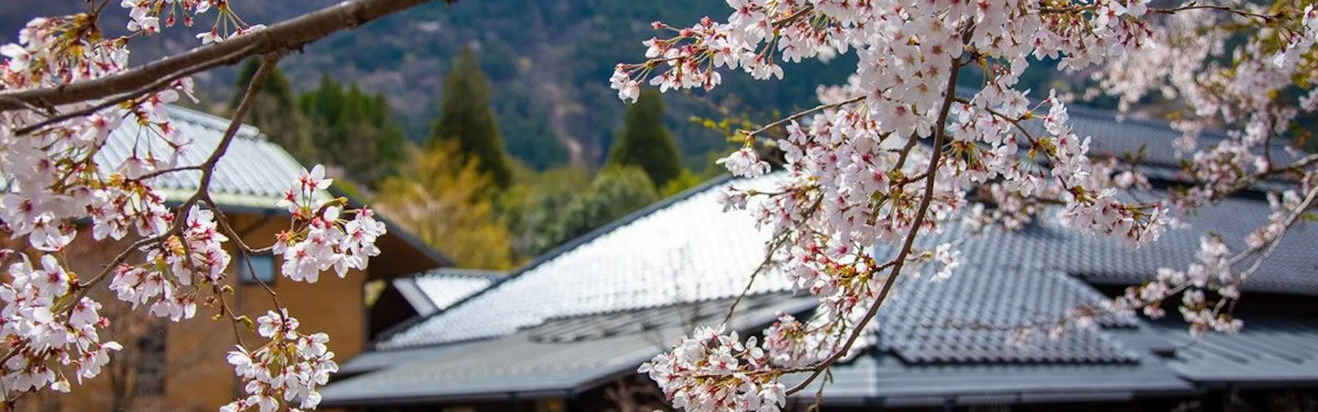 由布院 梅園 GARDEN RESORT