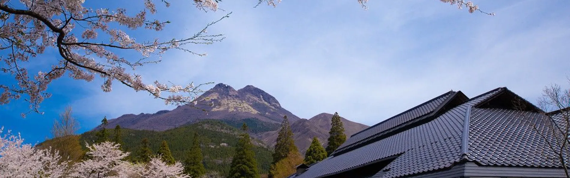 由布院 梅園 GARDEN RESORT