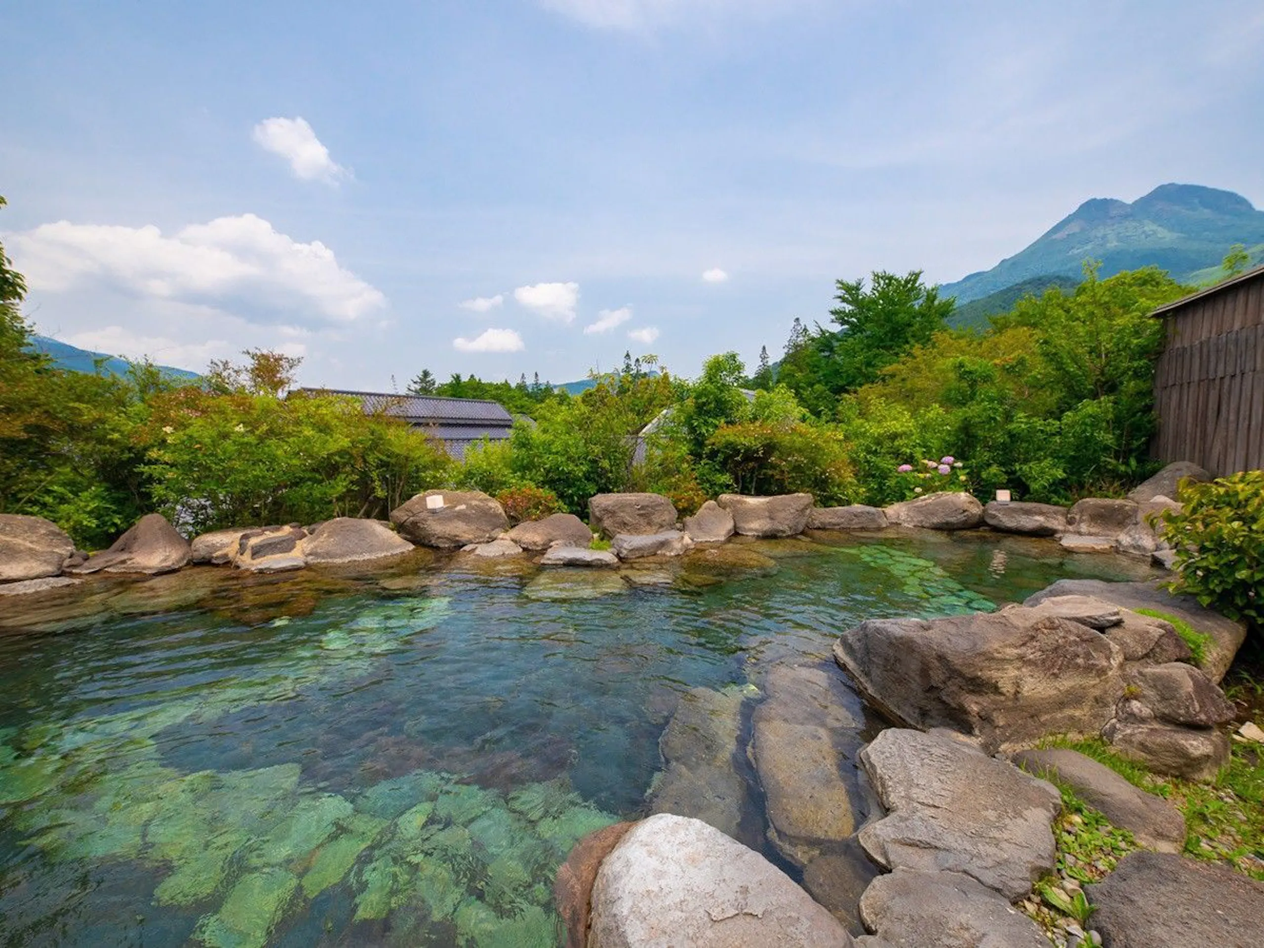 由布院 梅園(Yufuin Baien)介紹