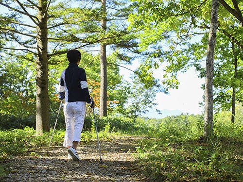 在自然步行中進行森林浴