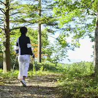 在自然步行中進行森林浴