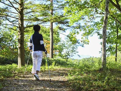 在自然步行中進行森林浴