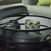 ชาเขียวในห้องพักเป็นสูตรผสมเฉพาะของโรงแรม