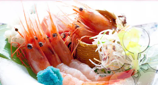 【金澤懐石】日本海の人気の食材をふんだんに!のど黒・甘海老・鴨など金沢を堪能!