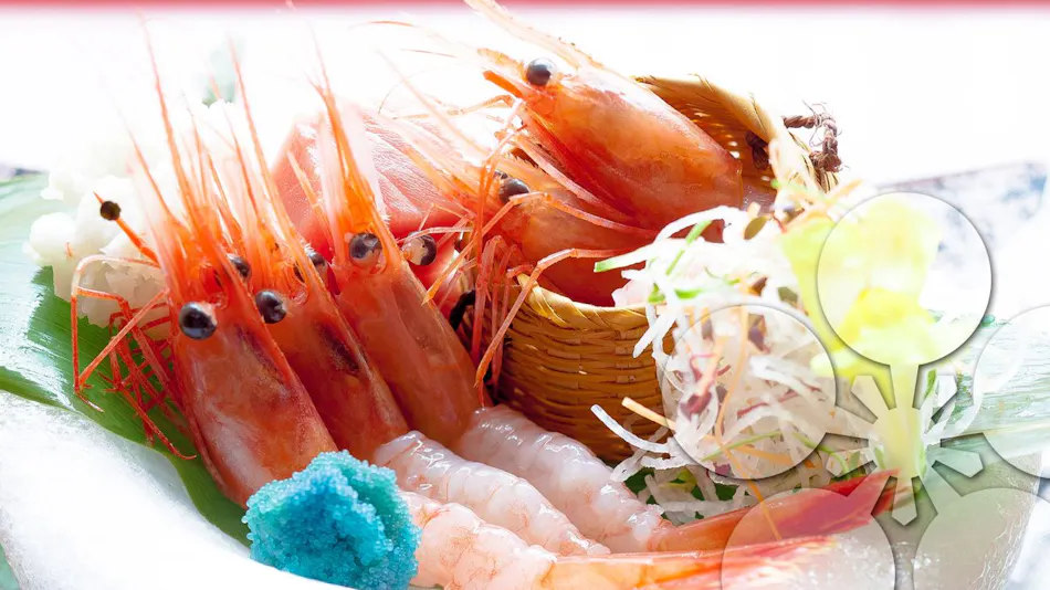 Ryotei Kaiseki Notoya