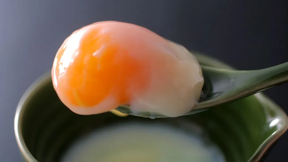 Ryotei Kaiseki Notoya