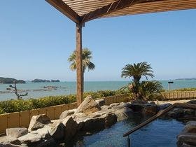 南紀白浜 子供連れに人気 アドベンチャーワールド周辺でおすすめな温泉宿 お湯たび