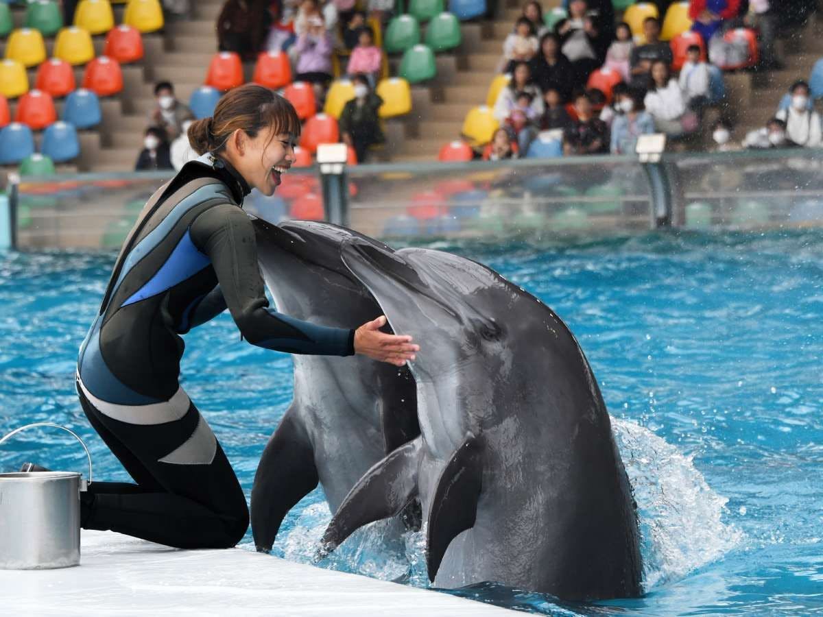 アドベンチャーワールド※イメージ