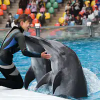 アドベンチャーワールド※イメージ