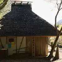 คุมาโนะโคโดะ โทกาโนะกิชายะ