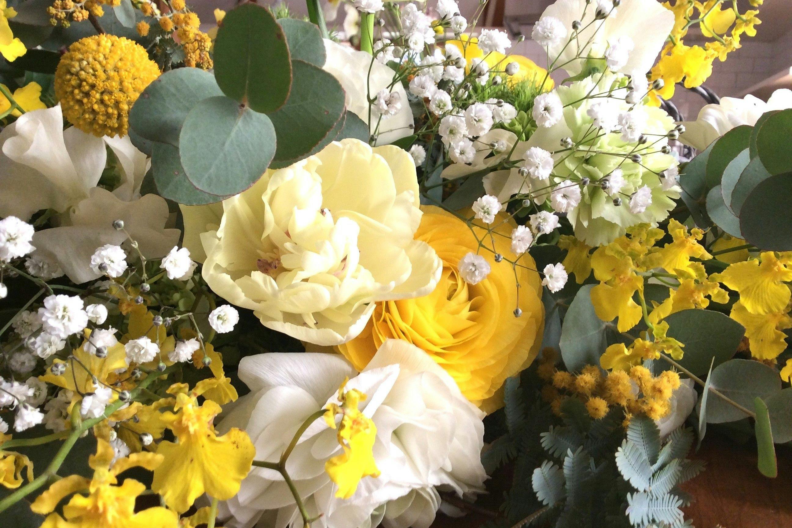 Anniversaryプラン