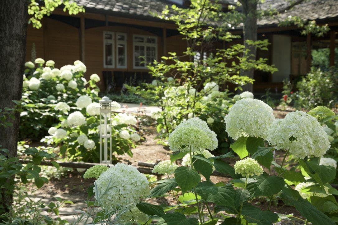HOTEL HOLIDAY HOME