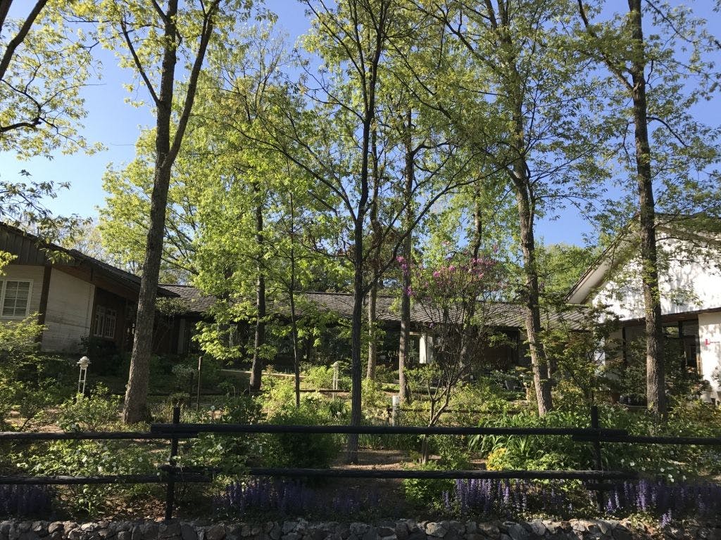 HOTEL HOLIDAY HOME