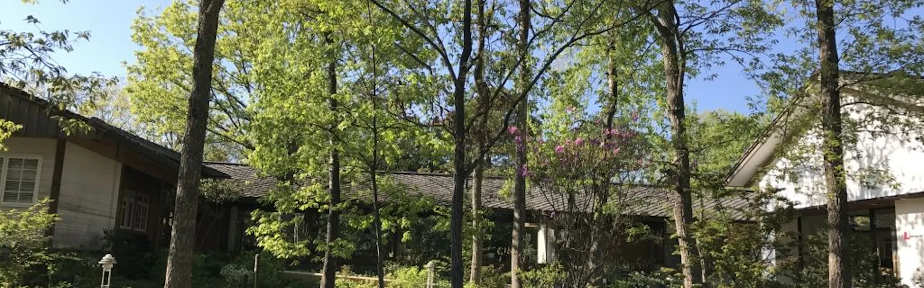 HOTEL HOLIDAY HOME