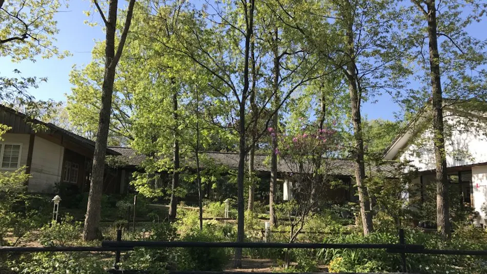 HOTEL HOLIDAY HOME