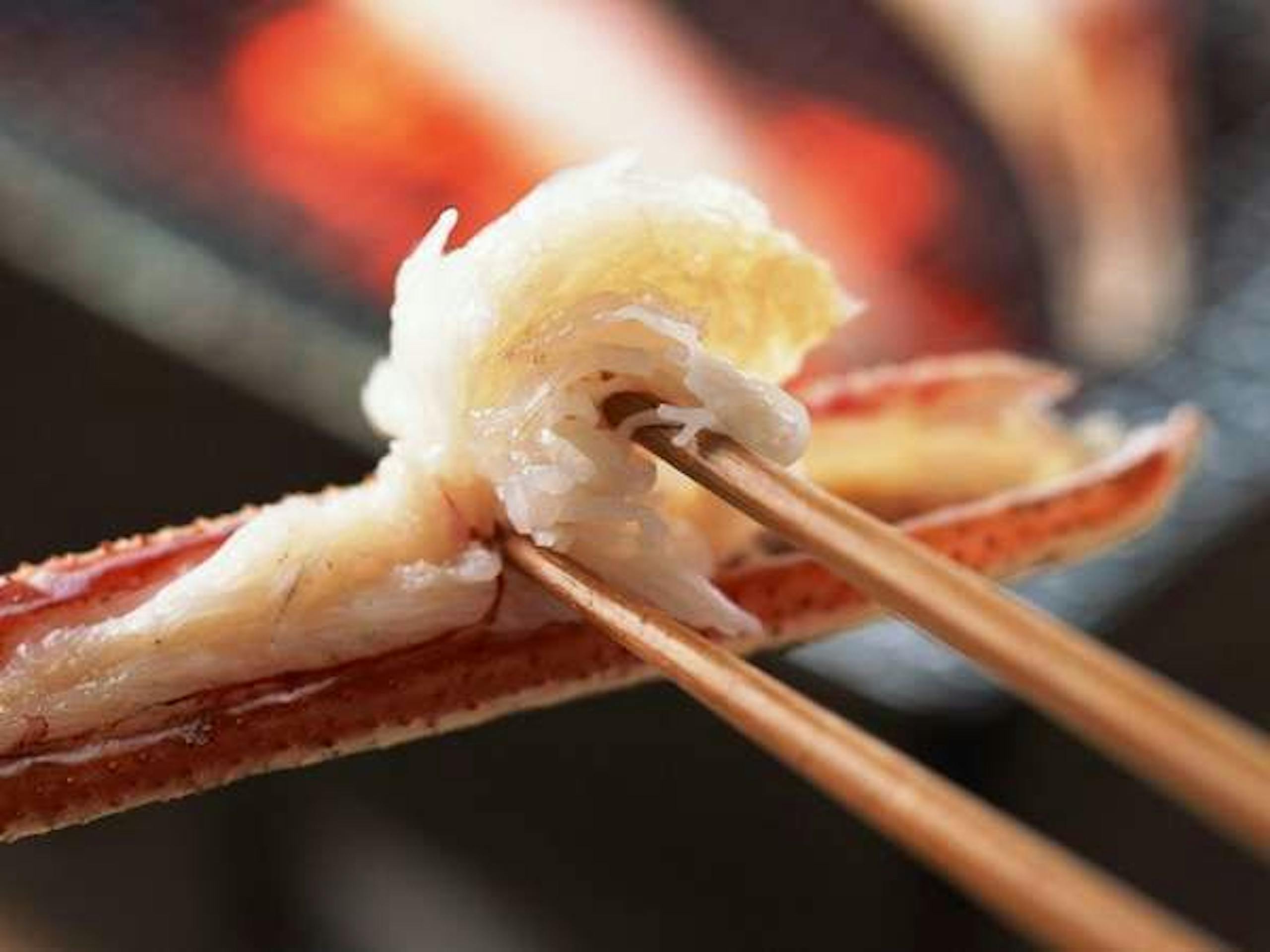 北陸 カニ 食べ 放題