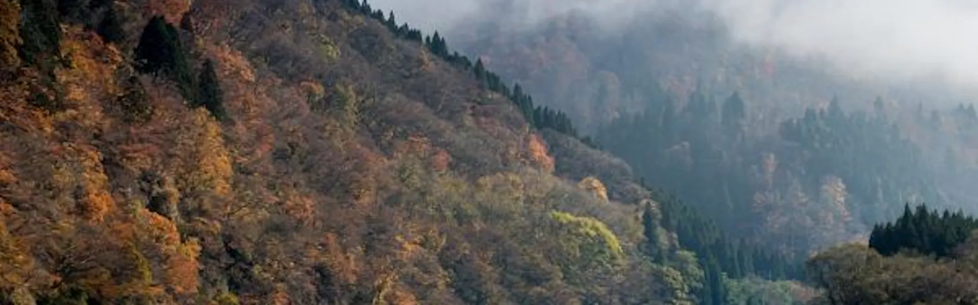 高見屋 最上川別邸 紅