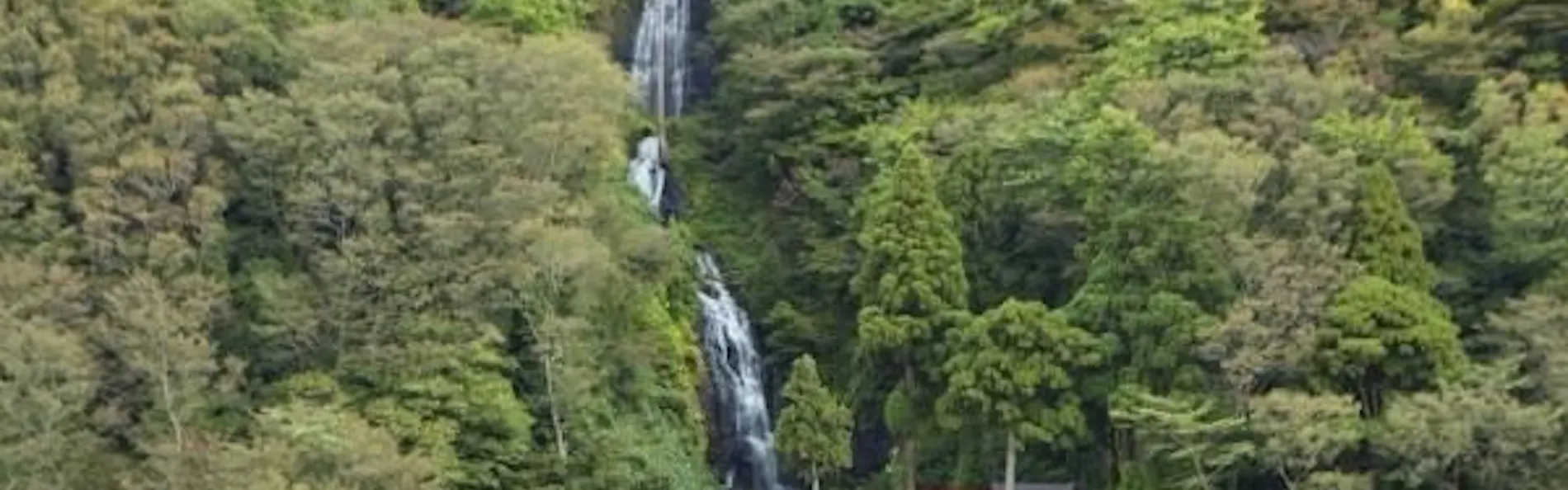 高見屋 最上川別邸 紅