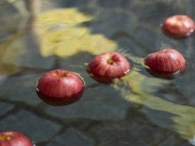 花巻温泉郷　台温泉　やまゆりの宿