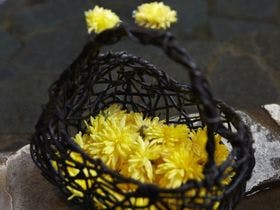 花巻温泉郷　台温泉　やまゆりの宿