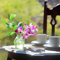 บริการกาแฟเพื่อความผ่อนคลาย