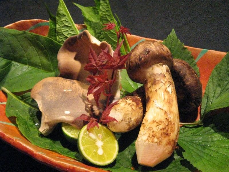 囲炉裏懐石と天然温泉を楽しむ 秘境の隠れ家 やまゆりの宿