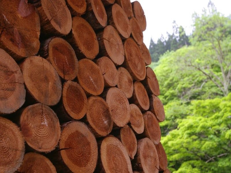 囲炉裏懐石と天然温泉を楽しむ 秘境の隠れ家 やまゆりの宿