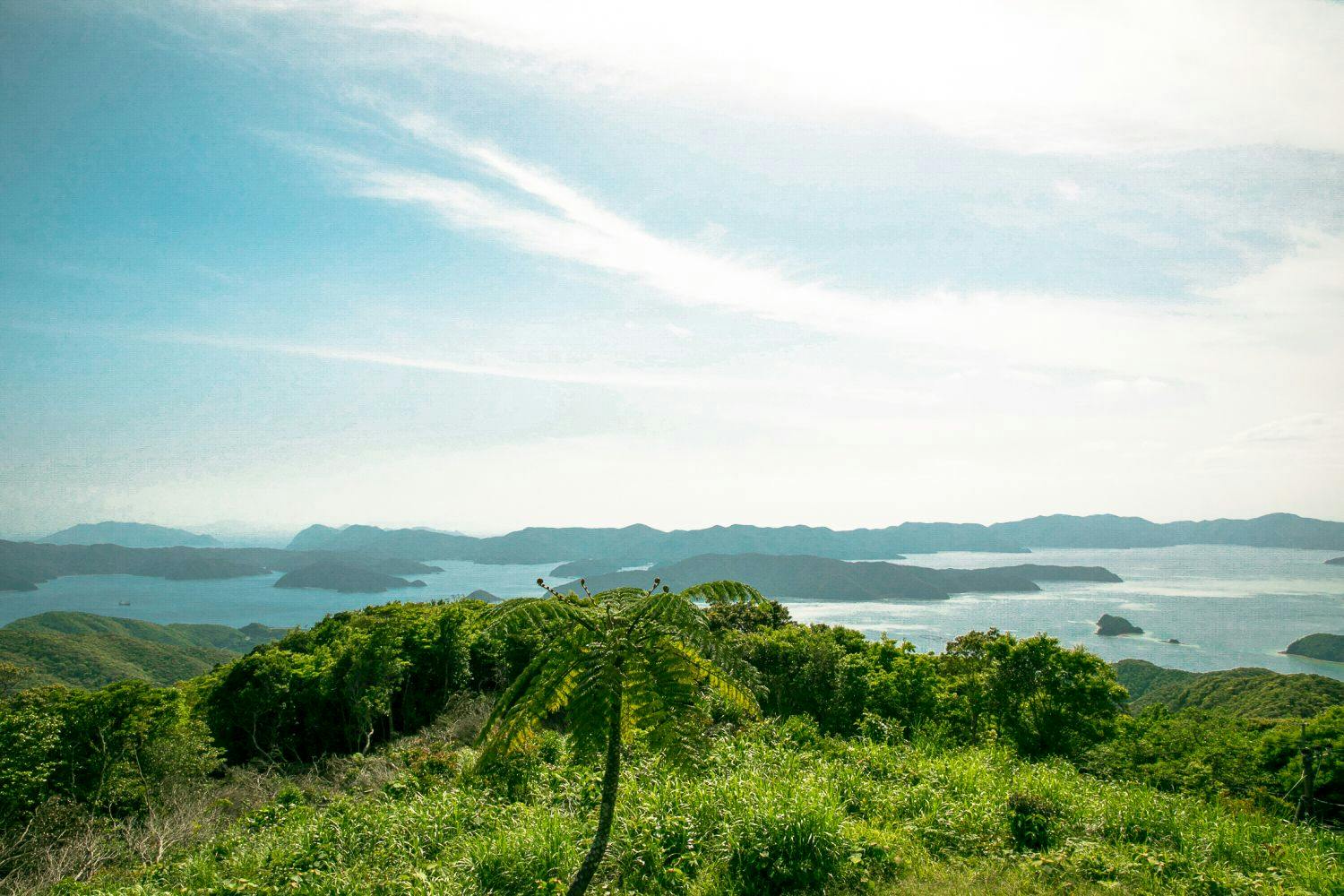 เกาะอามามิโอชิมะ