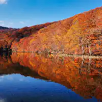 【ทัศนียภาพโดยรอบ】"ทะเลสาบสึตะ" กับต้นไม้ที่เปลี่ยนเป็นสีทองอร่าม.