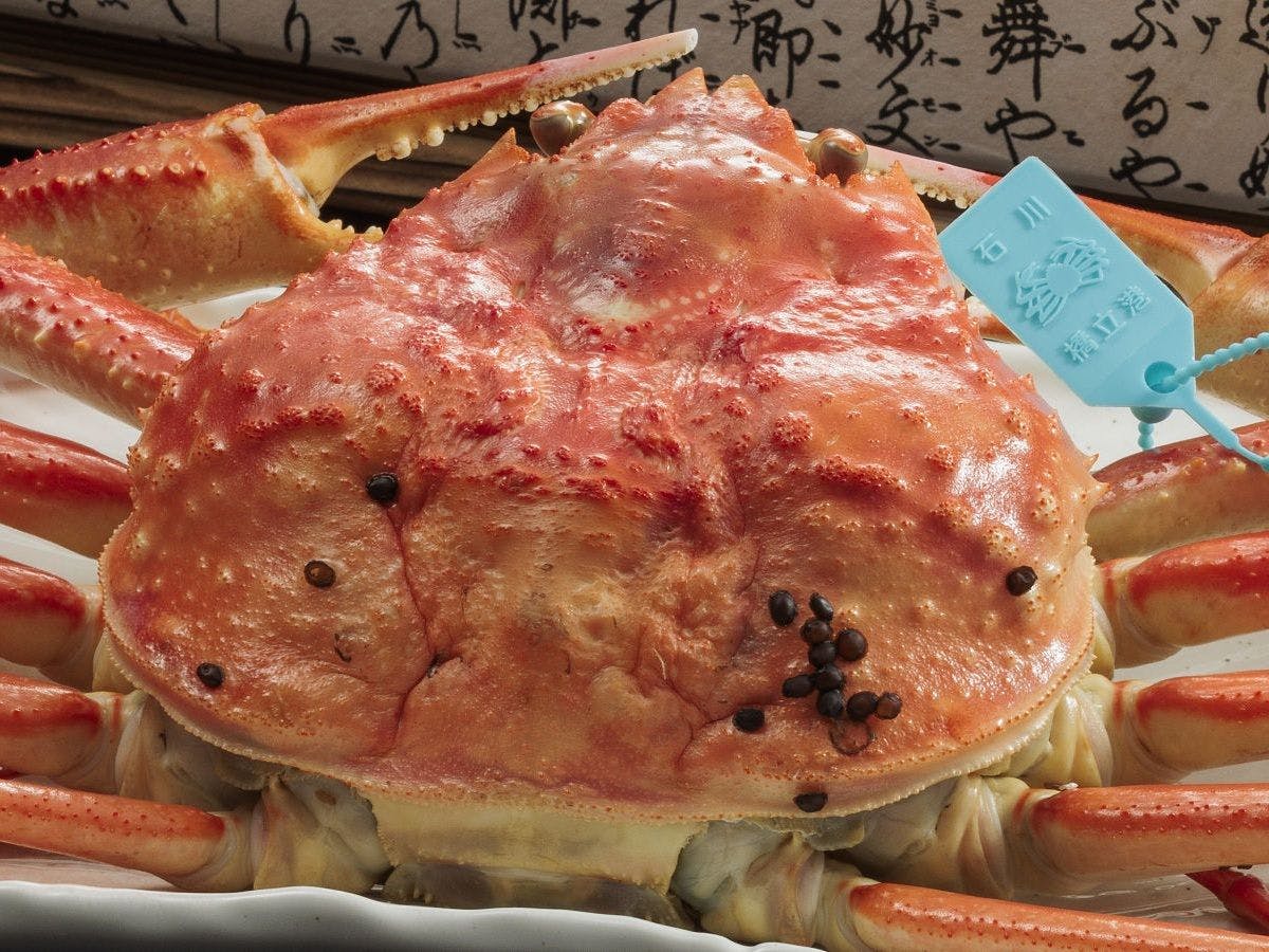 【가노 게 1마리 포함 가이세키】겨울 별미 "가노 게 ※ 통게 삶음"을 1인당 1마리 드실 수 있습니다 (본관)