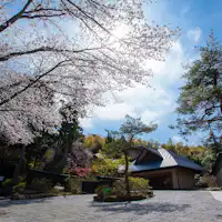 【외관】봄의 상징 나무 "벚꽃" (4월 초~중순)