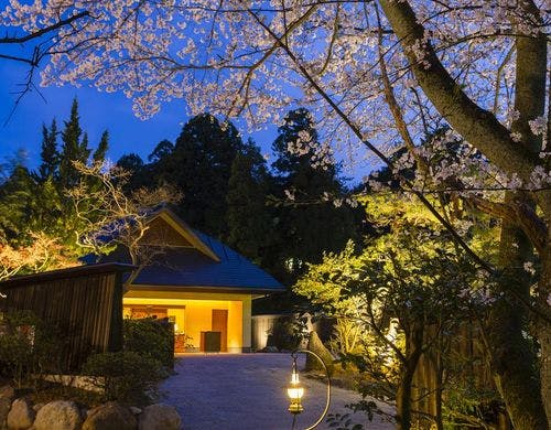 【外観】エントランスの夜桜（4月上旬)